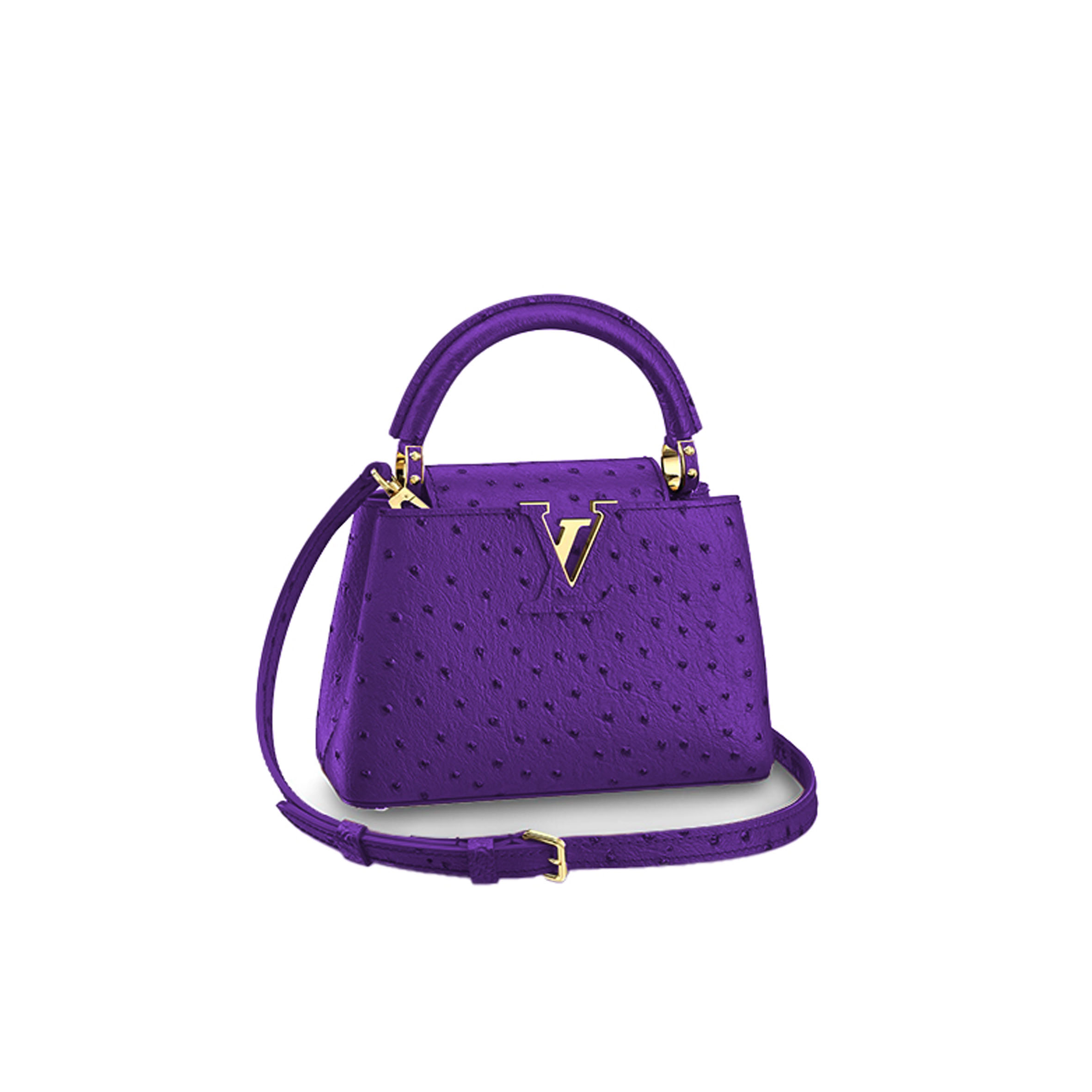 LOUIS VUITTON CAPUCINES MINI M95509 (21*14*8cm) 